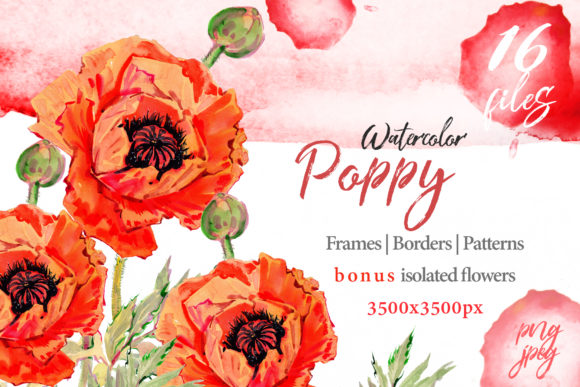 Download Watercolor Red Poppy Set - Premium Resources